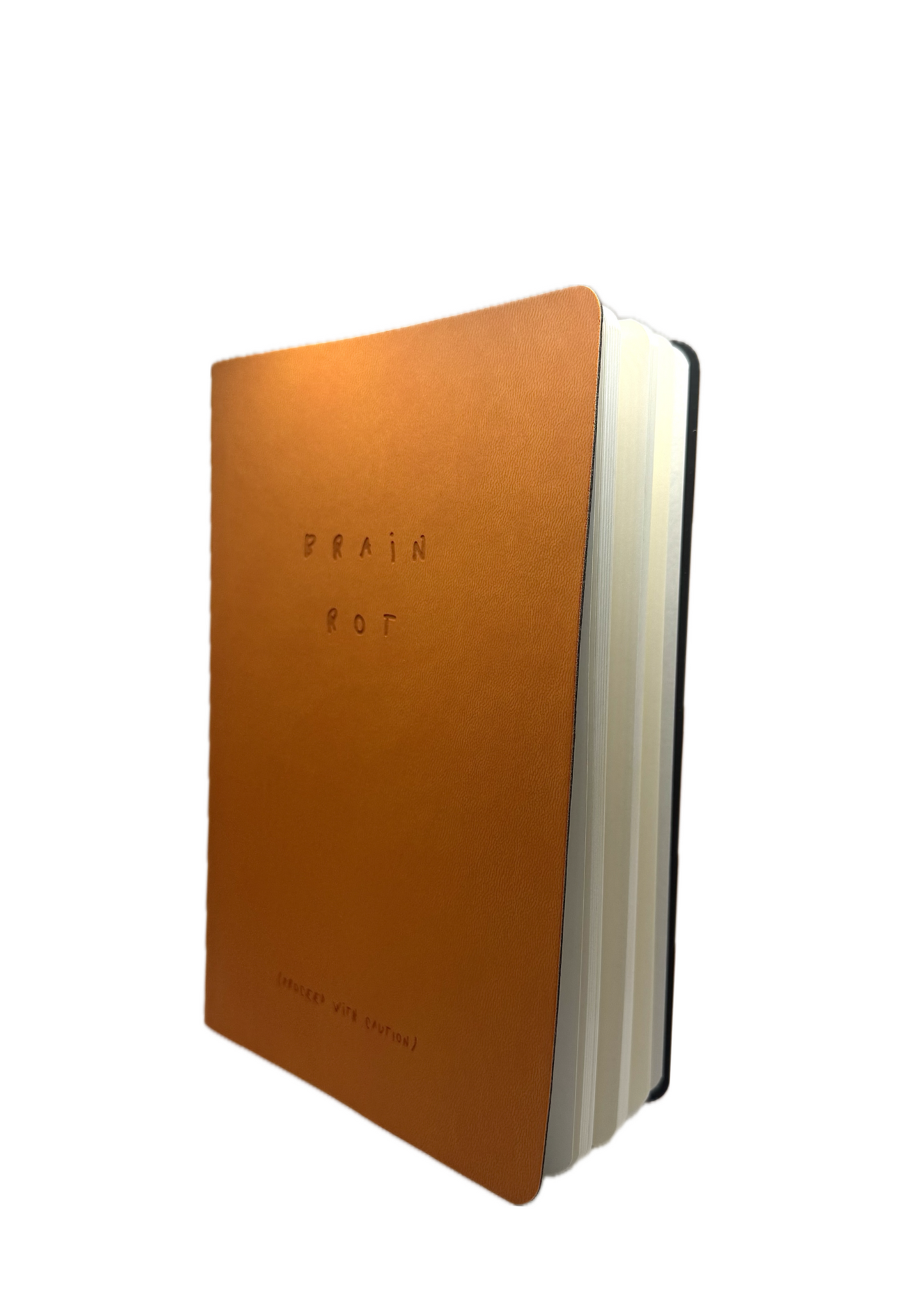 Brain Rot (Proceed with Caution)